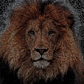 The King